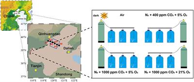 Hypoxia-Enhanced N2O Production Under Ocean Acidification in <mark class="highlighted">the Bohai Sea</mark>